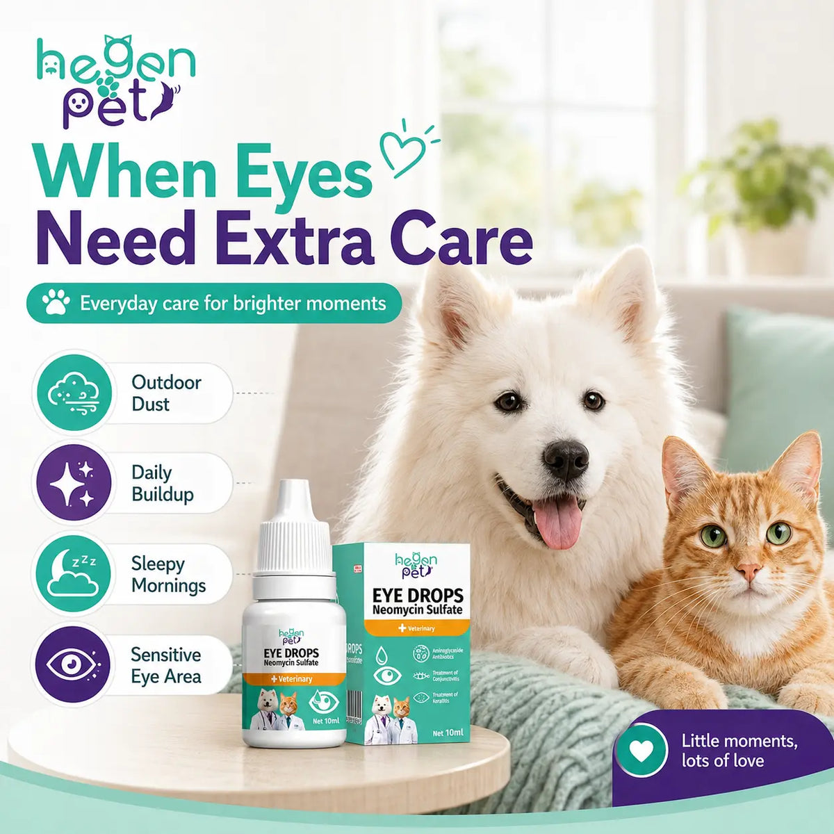 Hegenpet Advanced Eye Hygiene Solution | Gentle Cleansing Drops for Dogs & Cats | 10Ml#Summervibes #Petlovers Neomycin Sulfate Eye Care
