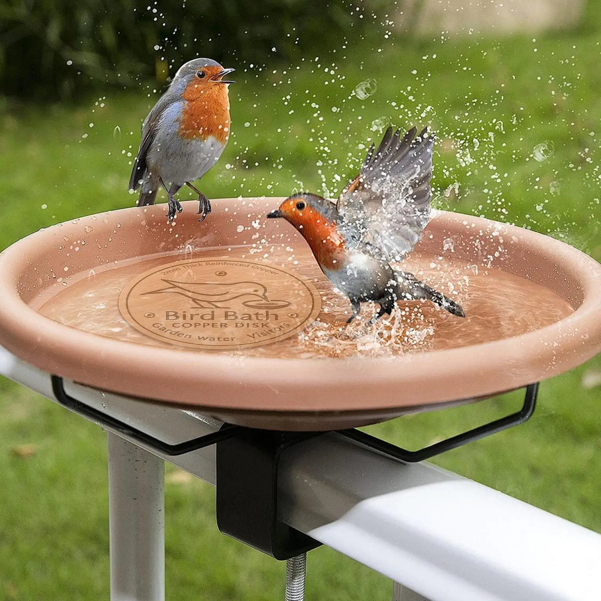 Bird Bath Copper Disk Bird Bath Purification Tray Metal Cleaner Disks Feeder Accessories for Water Bowl