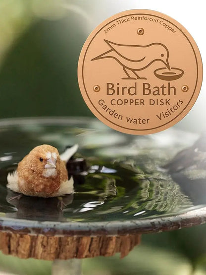 Bird Bath Copper Disk Bird Bath Purification Tray Metal Cleaner Disks Feeder Accessories for Water Bowl
