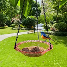Elevate Your Garden with Our Stunning Flower Shaped Hanging Bird Feeder - Perfect for Attracting Hummingbirds and Other Beautiful Birds!