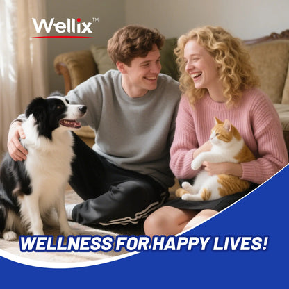 Wellix Hot Spot & Itch Relief Spray for Dogs & Cats - Natural & Gentle Plant-Based Itch Relief Mist, 80Ml Pet Skin Care Spray，#Sohochic