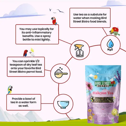 Parrot Food Super-Pack
