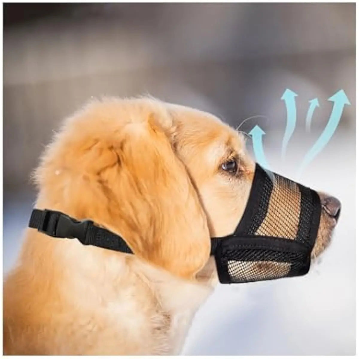 #Backtoschool Dog Muzzle for Varies Dogs - Air Mesh Muzzle for Varies Sized Dog | Adjustable No Bark Dogs Muzzles for Scavenging Licking & Chewing | Prevent Biting |