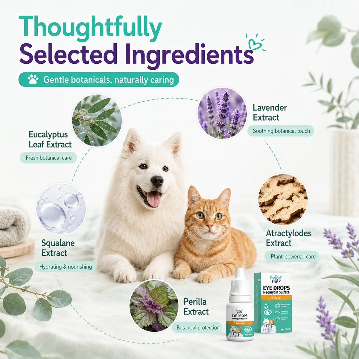 Hegenpet Advanced Eye Hygiene Solution | Gentle Cleansing Drops for Dogs & Cats | 10Ml#Summervibes #Petlovers Neomycin Sulfate Eye Care