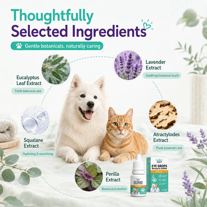 Hegenpet Advanced Eye Hygiene Solution | Gentle Cleansing Drops for Dogs & Cats | 10Ml#Summervibes #Petlovers Neomycin Sulfate Eye Care