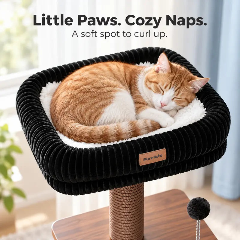 Compact Cat Tree for Small Indoor Cats with a Soft Top Bed and Cozy Hideaway Below, Scratching Post and Spring Ball Toy in a Modern Black and Wood Finish