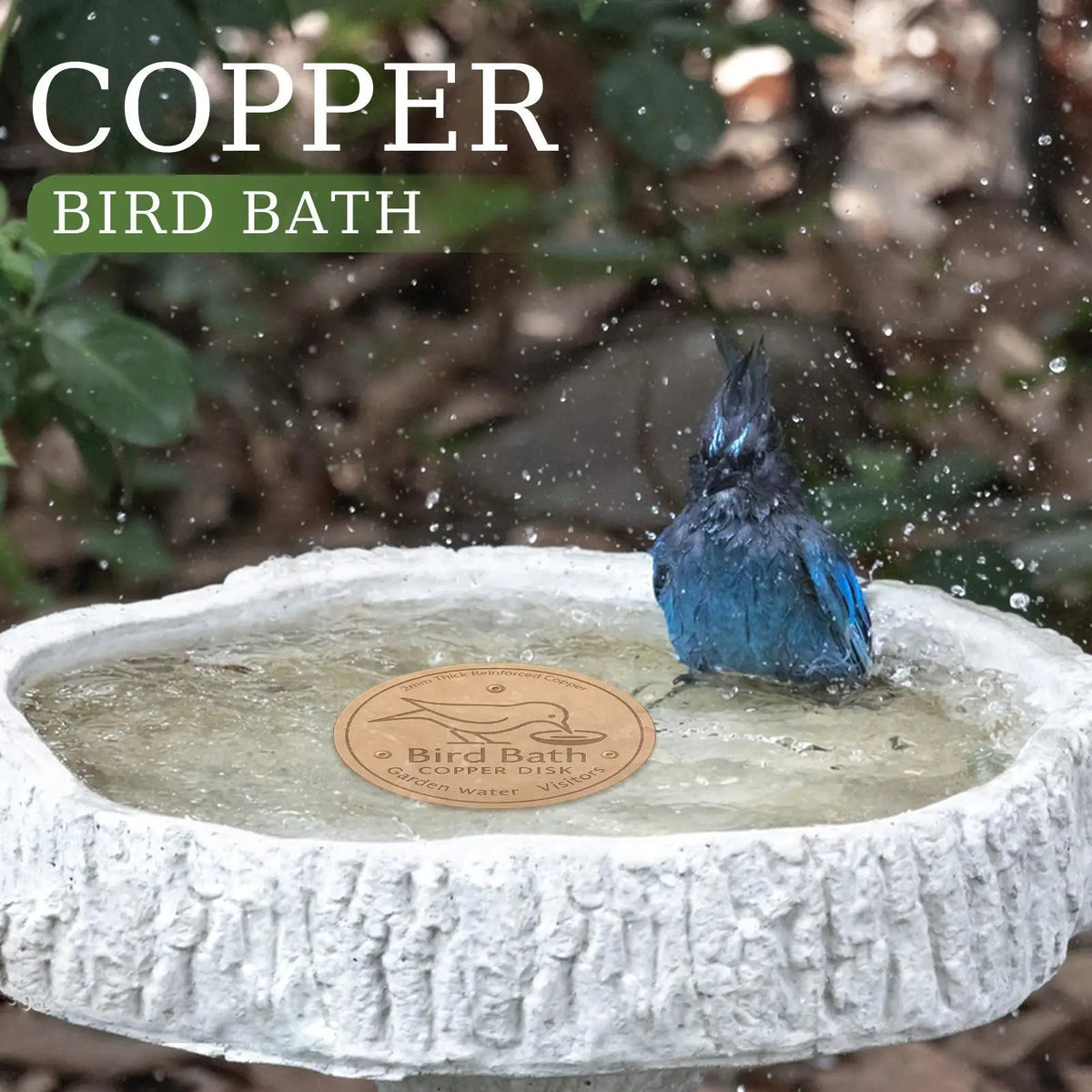 Bird Bath Copper Disk Bird Bath Purification Tray Metal Cleaner Disks Feeder Accessories for Water Bowl