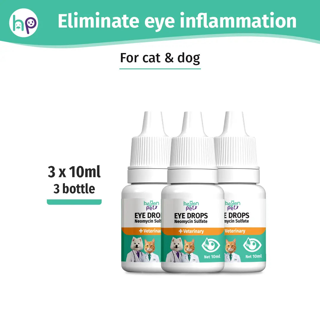 Hegenpet Advanced Eye Hygiene Solution | Gentle Cleansing Drops for Dogs & Cats | 10Ml#Summervibes #Petlovers Neomycin Sulfate Eye Care