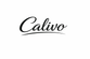 Translation missing: en.Calivo accessibility.home