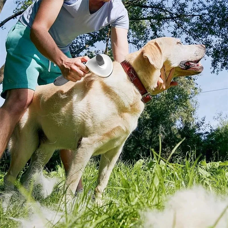 Pet Grooming Brush – Self-Cleaning Hair Remover for Dogs & Cats