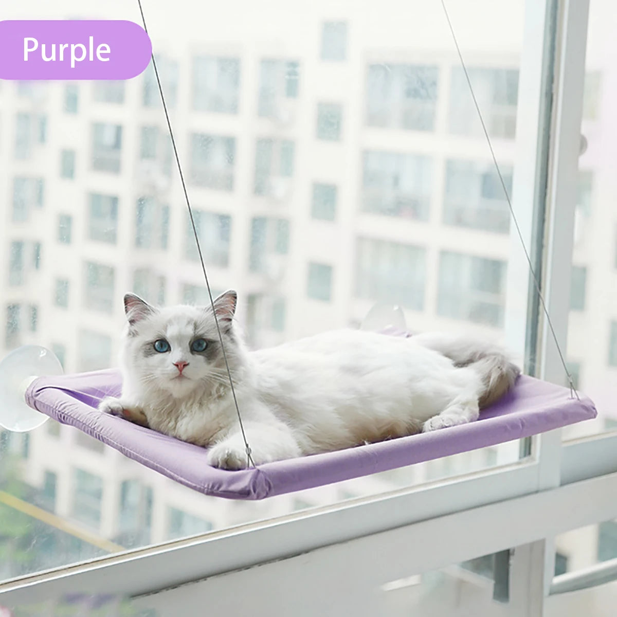 Cat Window Hammock – Hanging Bed with Strong Suction Cups for Ultimate Comfort