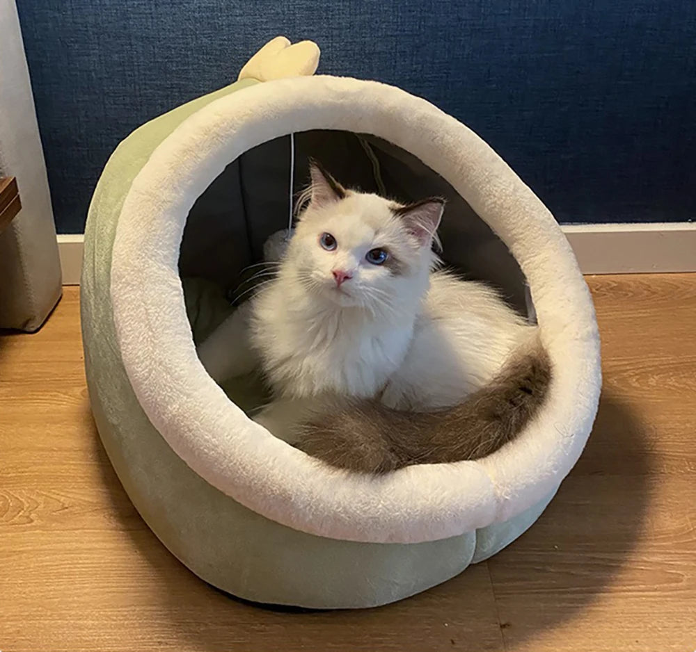 Premium Cozy Pet Bed 🐾