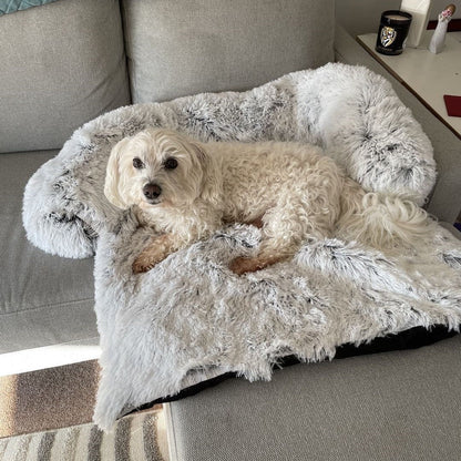 Dog Bed
