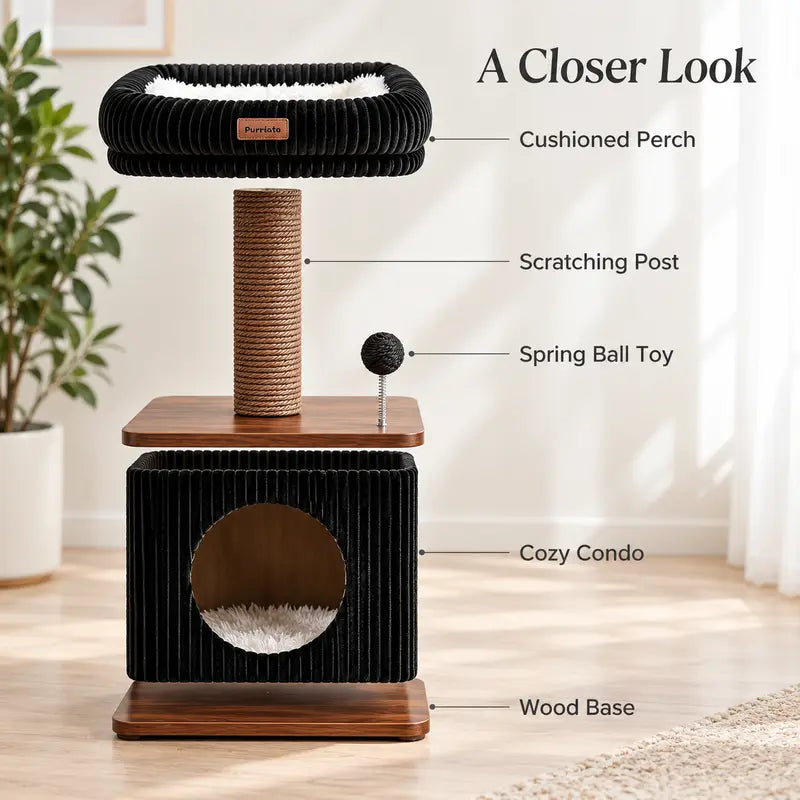 Compact Cat Tree for Small Indoor Cats with a Soft Top Bed and Cozy Hideaway Below, Scratching Post and Spring Ball Toy in a Modern Black and Wood Finish