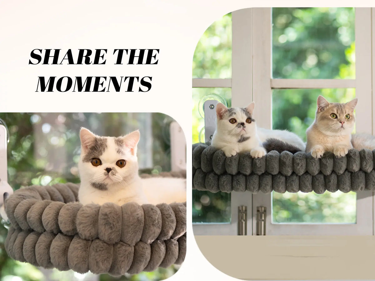 Folding Cat Hammock for Window - Cordless, Machine Washable Bed, Robust Metal Frame, Strong Suction Cups，Cat Window Perch for Cats and Small Dogs