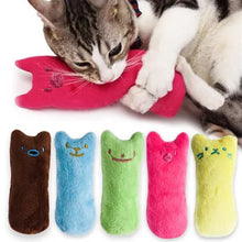 Kattenspeelgoed Met Catnip – Pluche Kauwspeeltje 15 Cm – Interactief