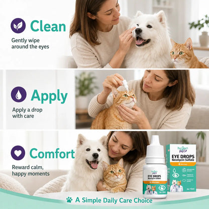 Hegenpet Advanced Eye Hygiene Solution | Gentle Cleansing Drops for Dogs & Cats | 10Ml#Summervibes #Petlovers Neomycin Sulfate Eye Care